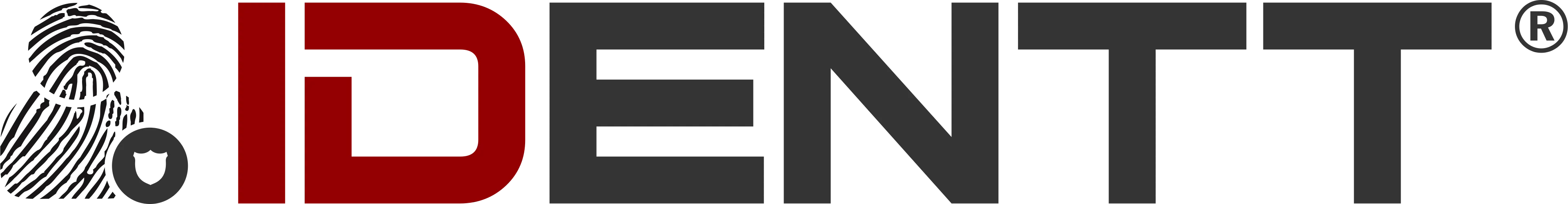 IDENTT logo